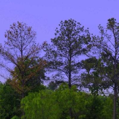 爱心彩票Welcome彩票中心