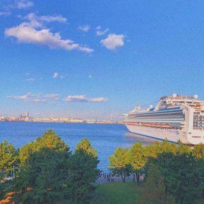 半岛bob综合登入下载手机版