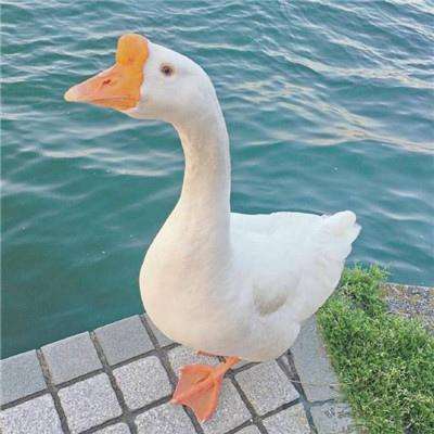 b体育手机在线登录