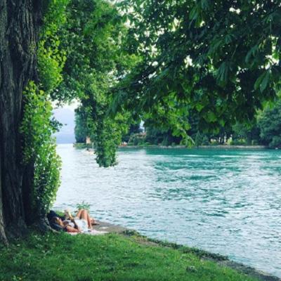 金年会体育app手机注册截图