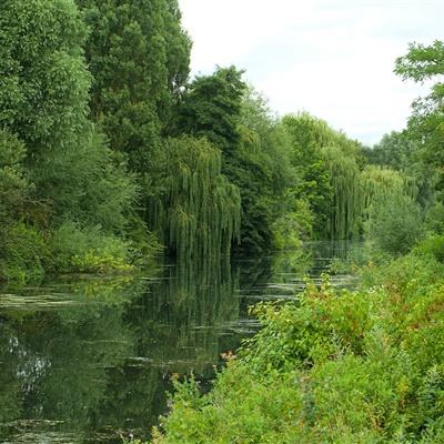 大发黄金版app下载手机app下载