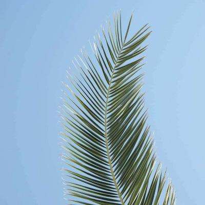 半岛综合官网App