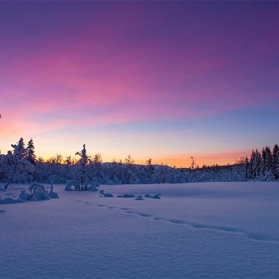 yabo手机版官网登录
