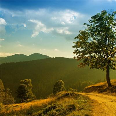 澳客APP下载官网